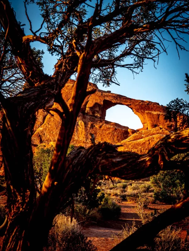 Arches National Park – The Reasons Why Everyone Loves It