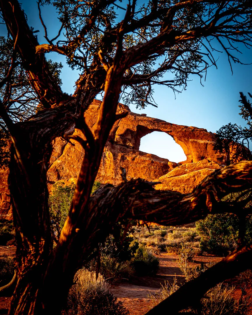 Arches National Park – The Reasons Why Everyone Loves It