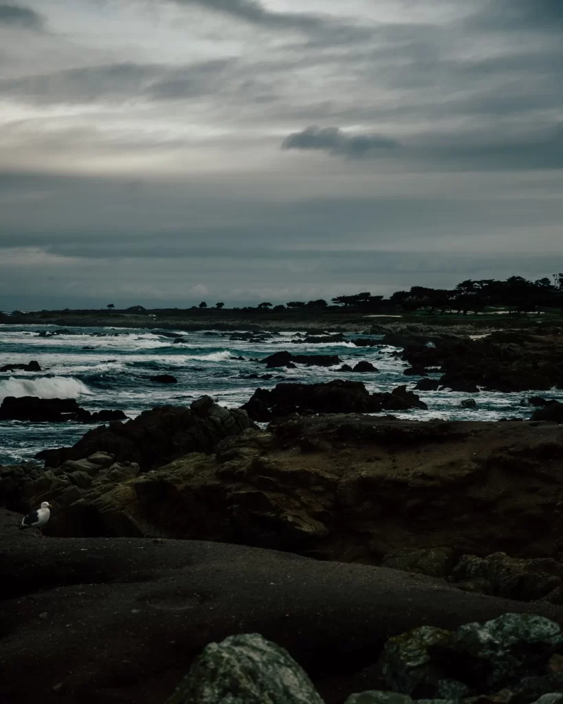 View at Point Lobos State Park