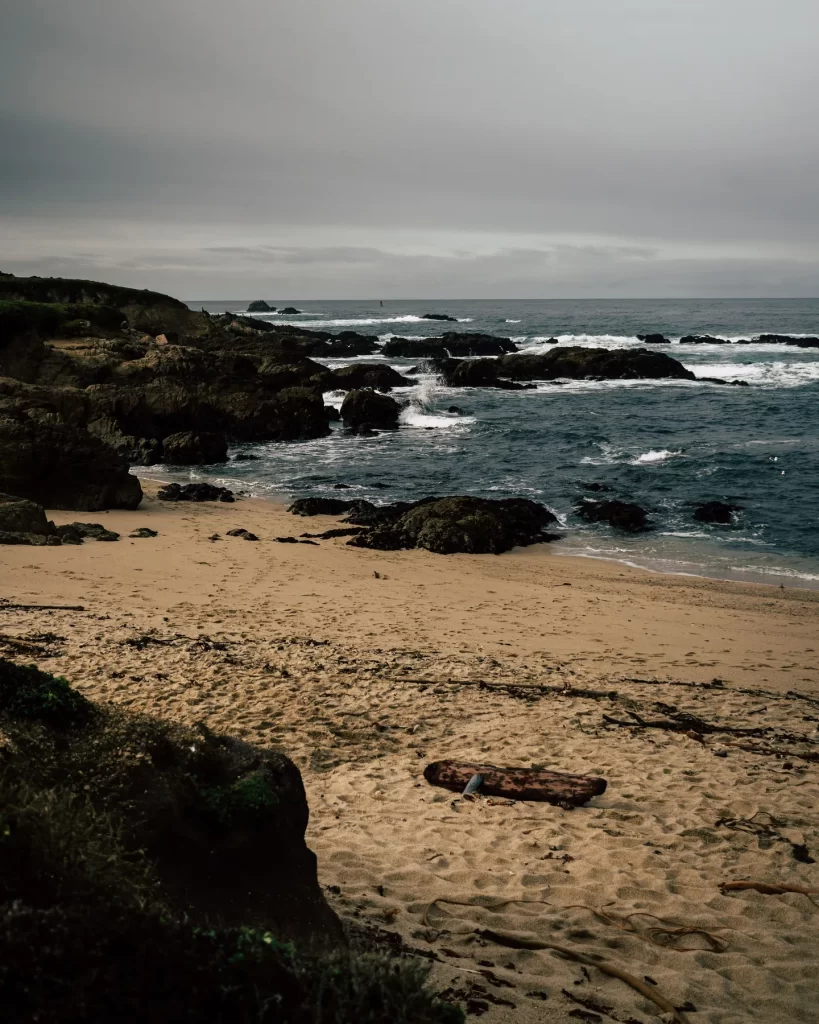 View at Point Lobos State Park