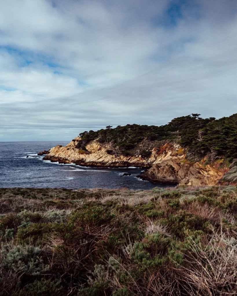 View at Point Lobos State Park