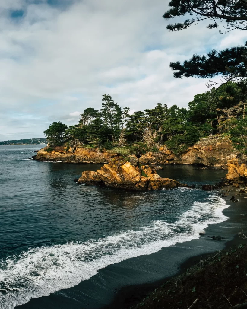 View at Point Lobos State Park