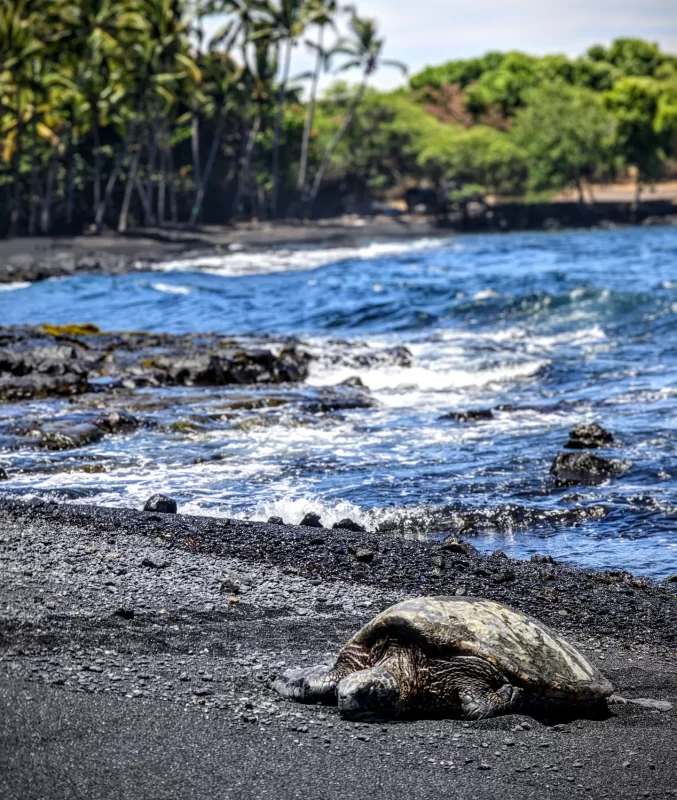 Five Small But Important Things To Observe In Hawai’i Volcanoes National Park