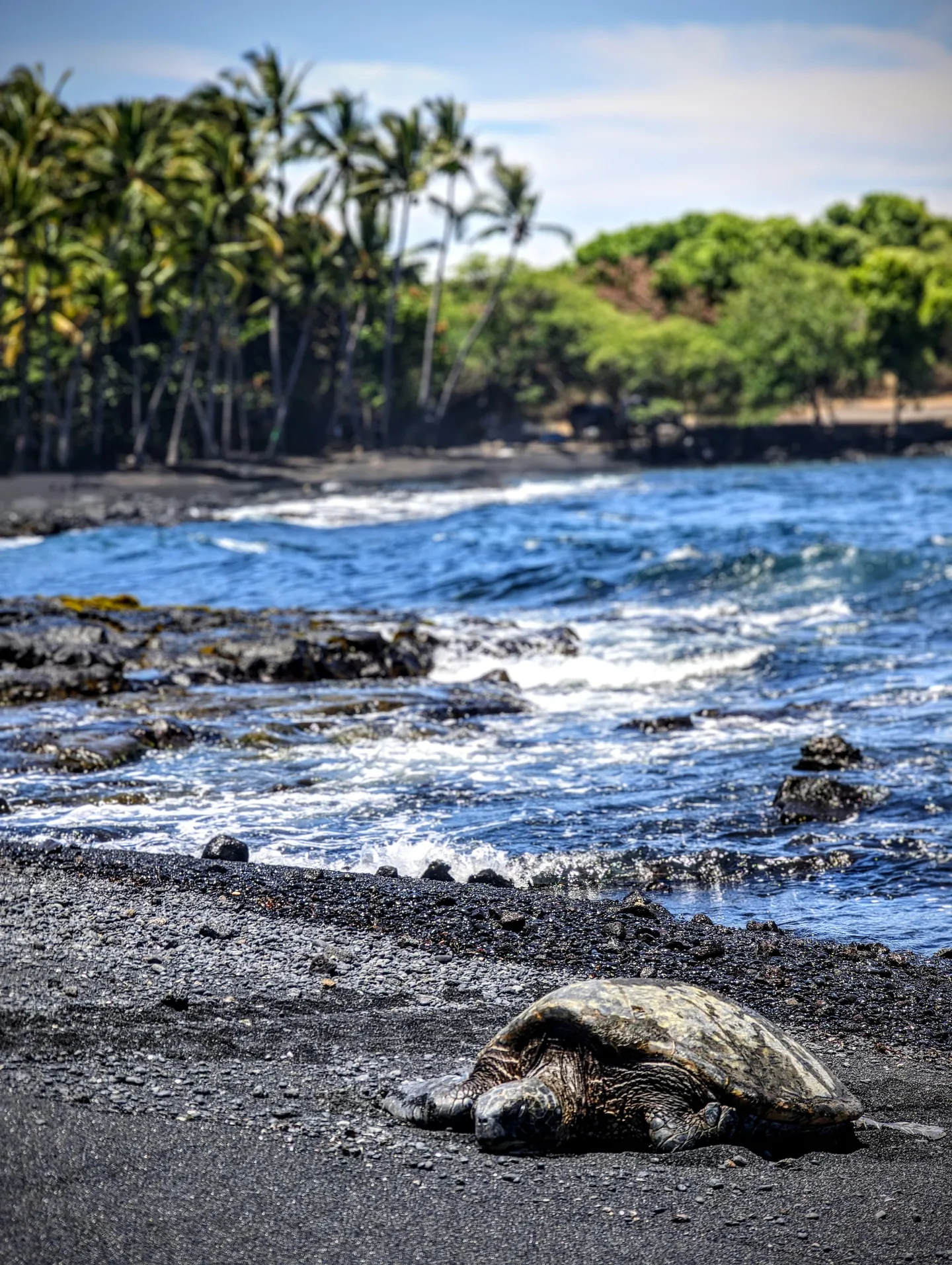 Five Small But Important Things To Observe In Hawai’i Volcanoes National Park