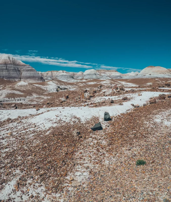 Petrified Forest National Park: Arizona’s Prehistoric History come to life