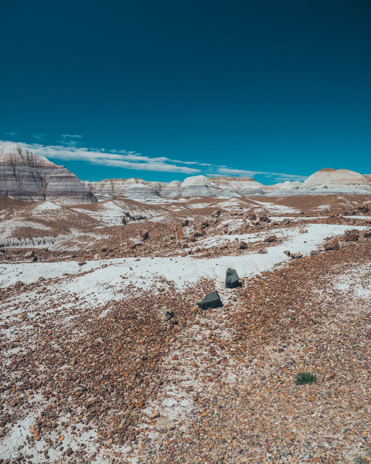 Petrified Forest National Park: Arizona’s Prehistoric History come to life