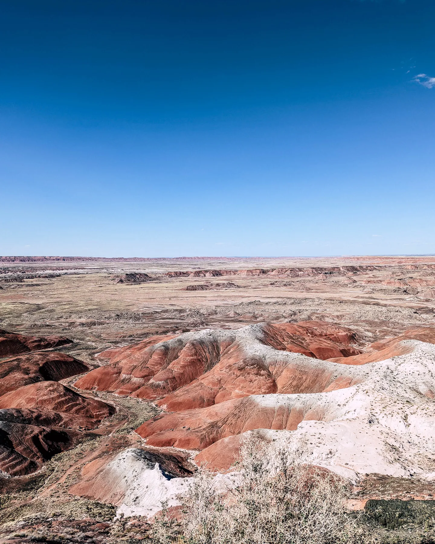 Painted Desert State Park: A Natural Wonder of Arizona